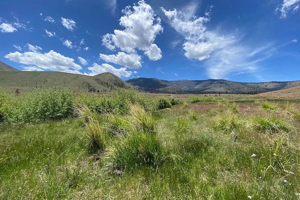 Ancestral Land Returned... After 175 Years!