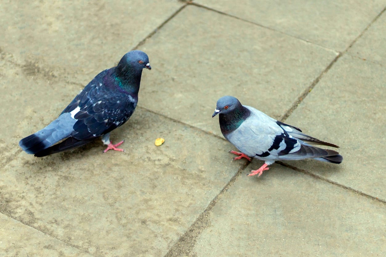 Nonprofits Can Be Ruthlessly Competitive