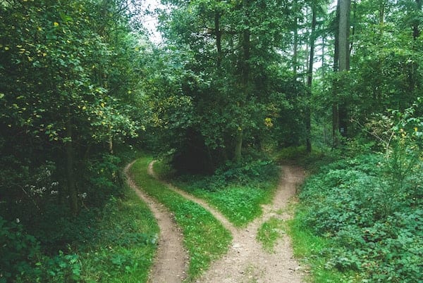 Some Thoughts on Decision-Making