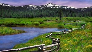 Perrazo Meadows in the Northern Sierra
