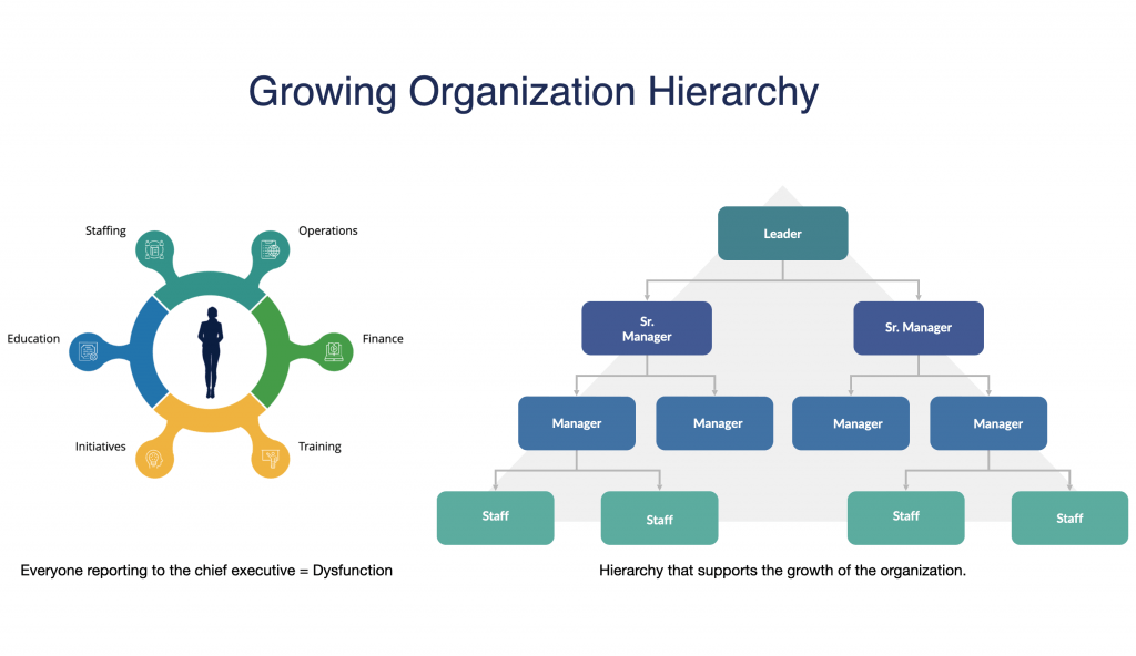 Organizational structure chapter information